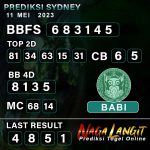 Prediksi Naga SDY 11 MEI 2023