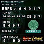 Prediksi Naga SDY 01 JUNI 2023