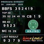 Prediksi Naga SDY 24 JANUARI 2025