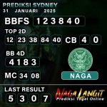 Prediksi Naga SDY 31 JANUARI 2025