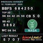Prediksi Naga SDY 12 FEBRUARY 2025