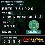 Prediksi Naga SDY 11 MARET 2025