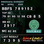Prediksi Naga SDY 08 APRIL 2025